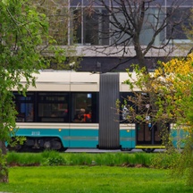 image-3-1